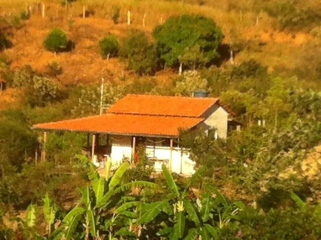 Sítio oportunidade local lindo