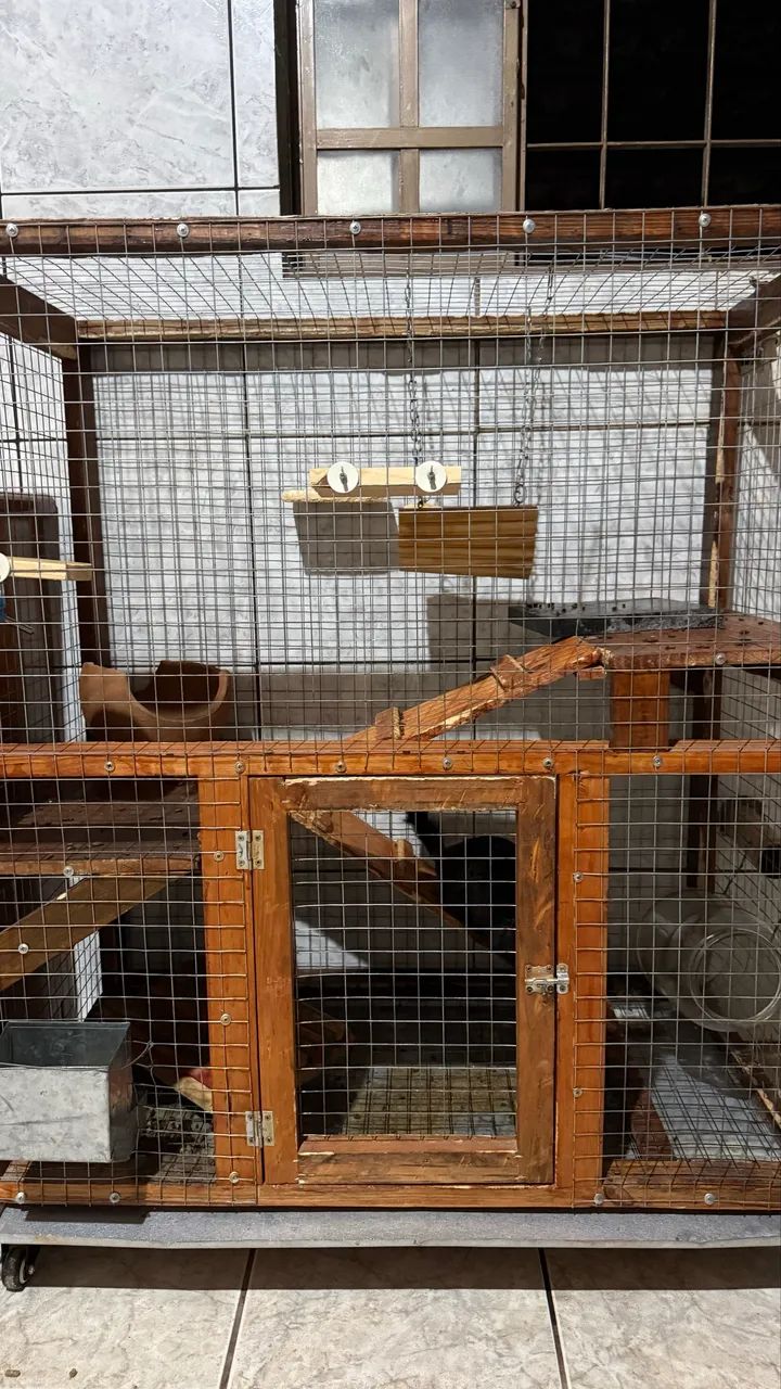 Chinchila com gaiola  - Foto 5