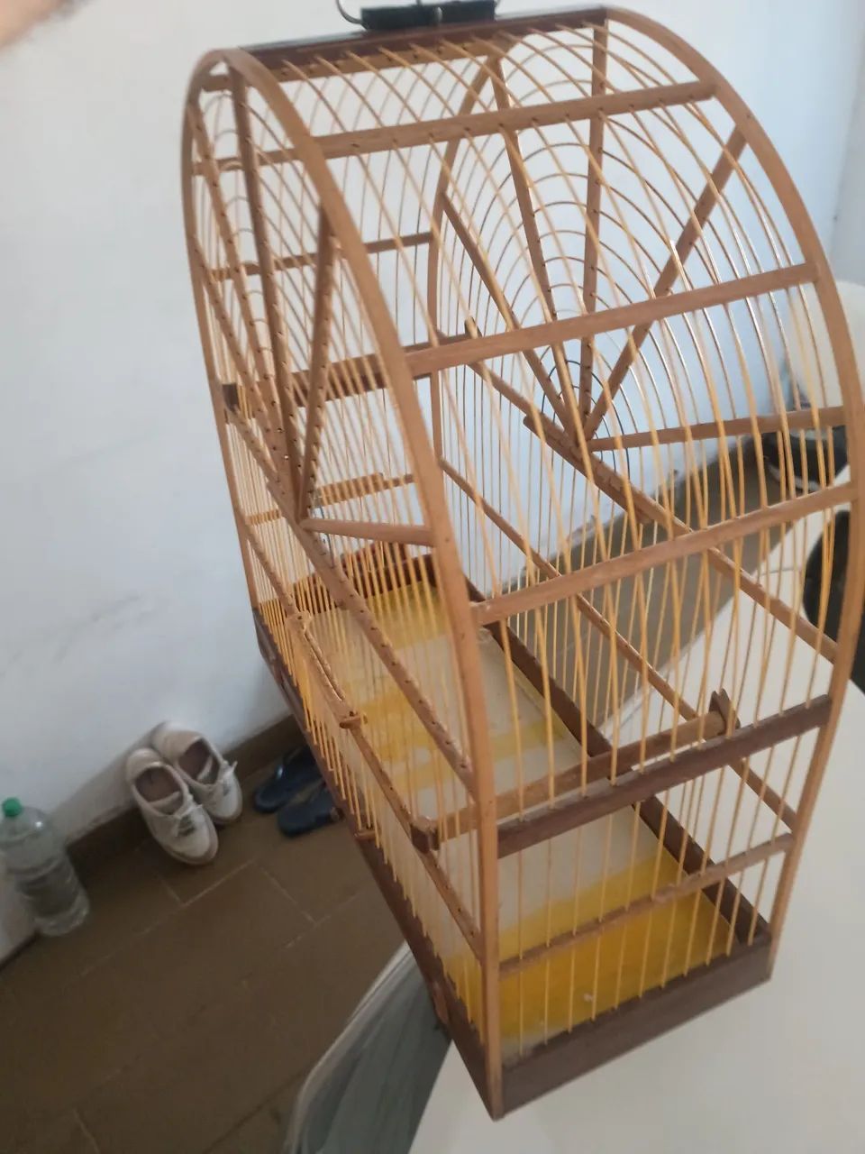 Animais e acessórios  - Foto 2