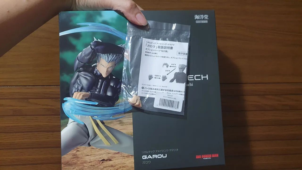 Revoltech Garou