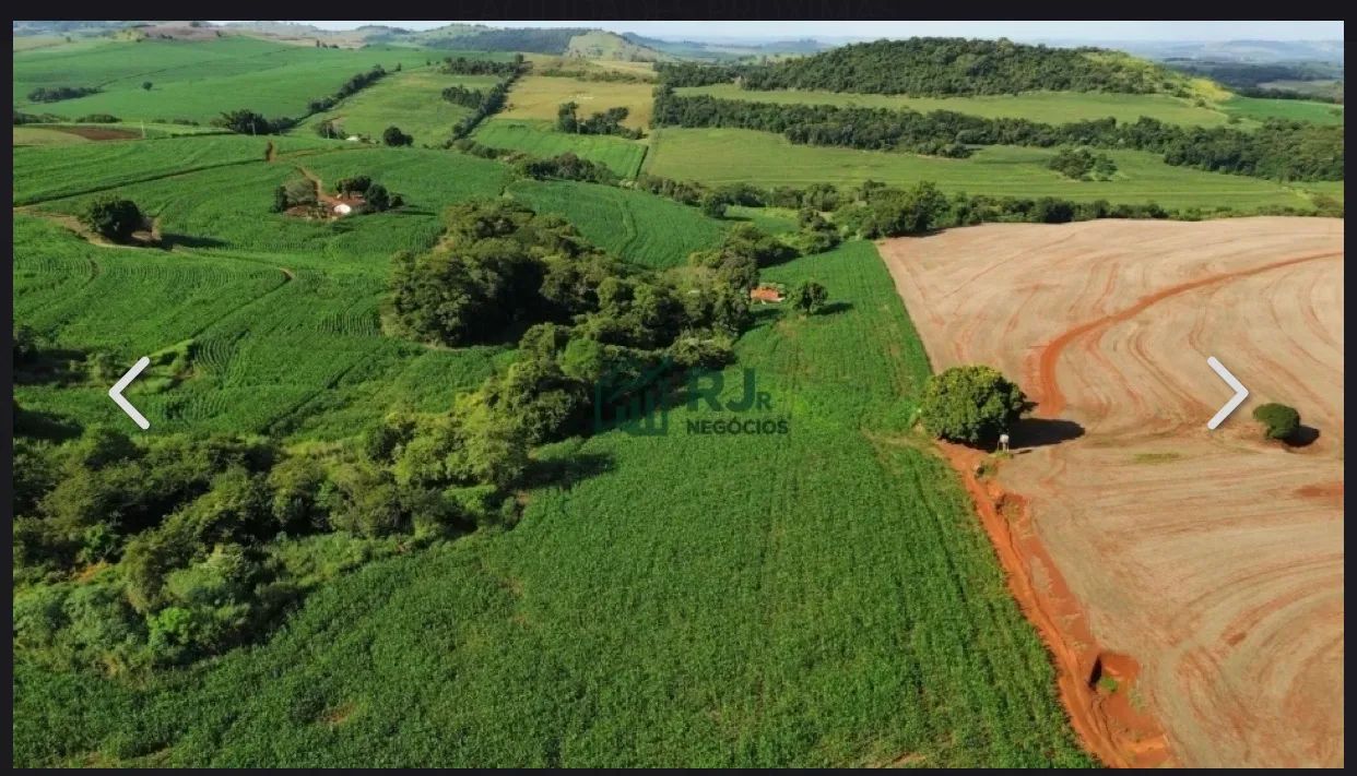 Sitio a venda em Borrazopolis pr - Foto 4