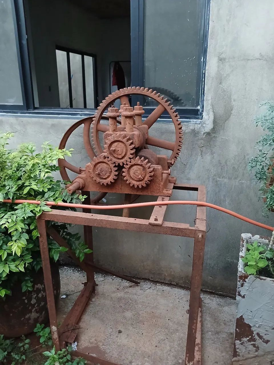 Engenho de ferro bruto antigo funcionando 