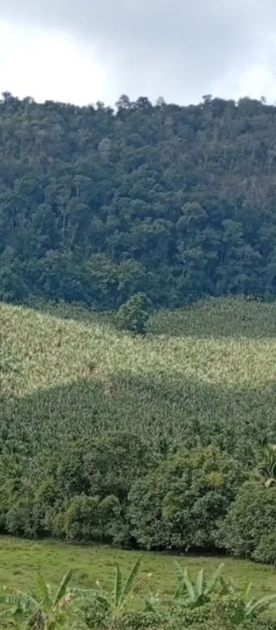 Terreno em Amarelos Guarapari 