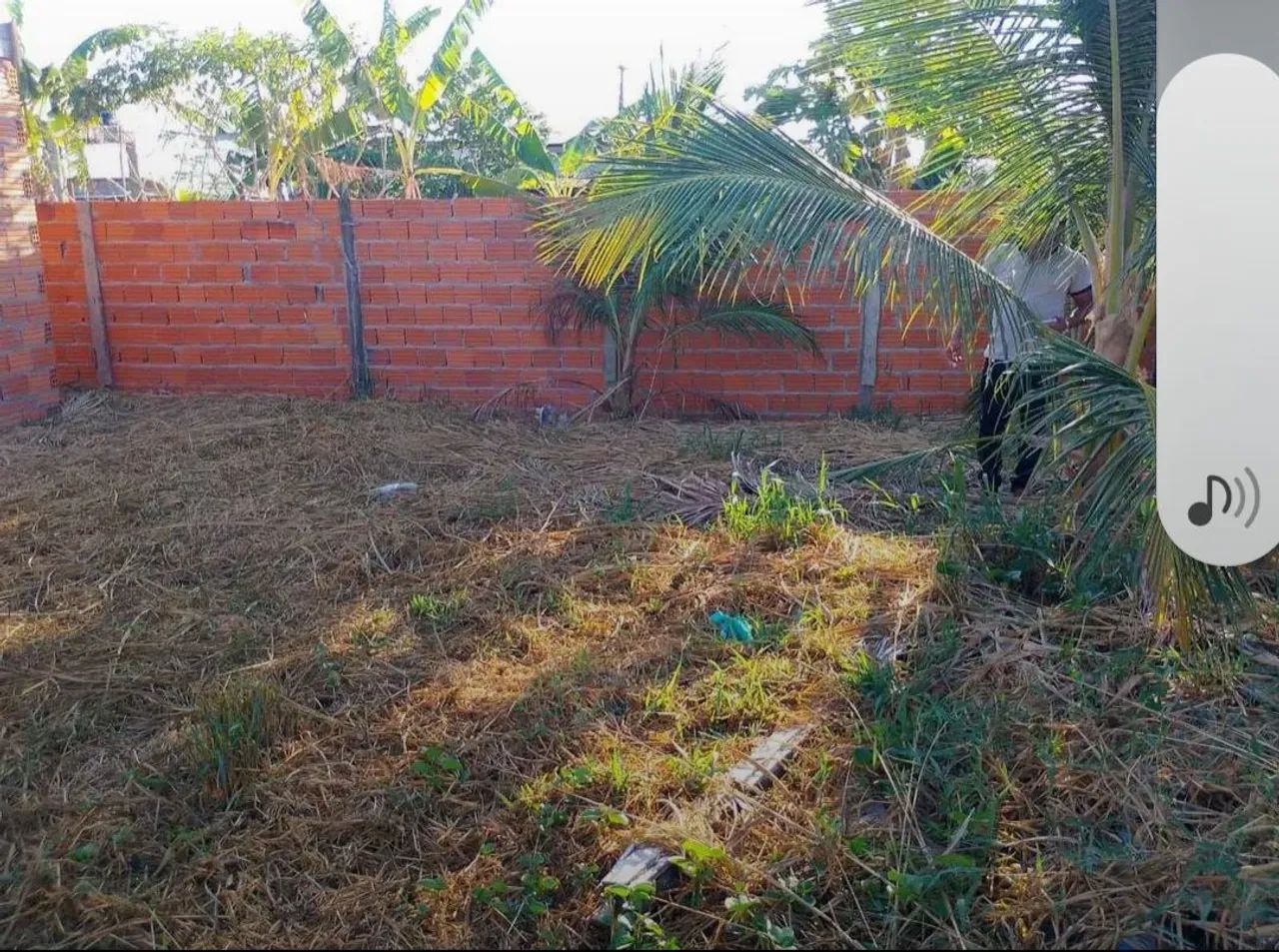 Vendo um terreno 11x 25 na Norte Sul próximo ao conjunto miracema  valor 45 mil mil - Foto 2