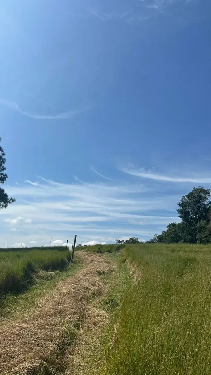 Lote 500m² em Ibiúna Próximo à Serra - Foto 3