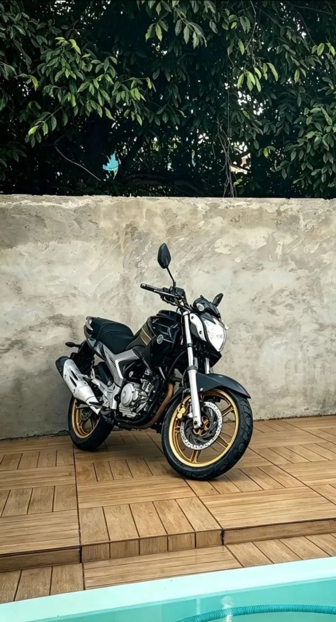 Fazer 250 2011