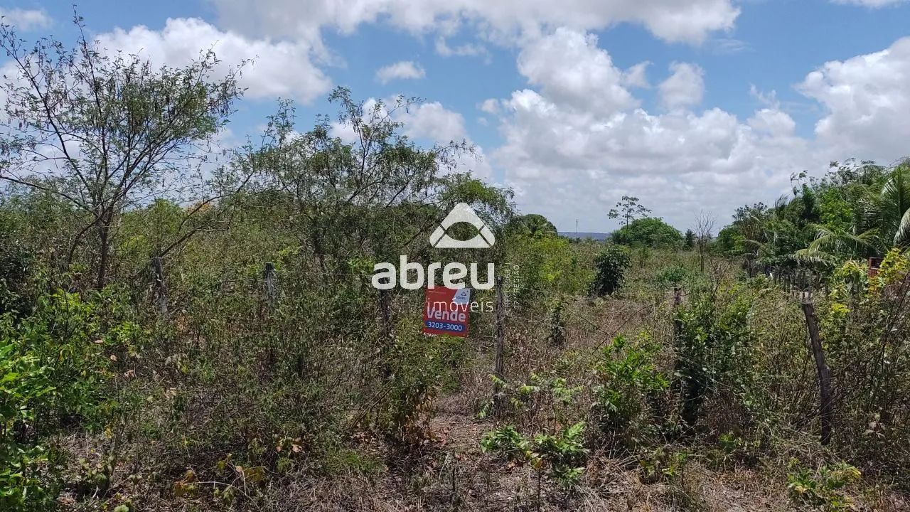 Sem Tipo Terreno em São Gonçalo do Amarante - Foto 2