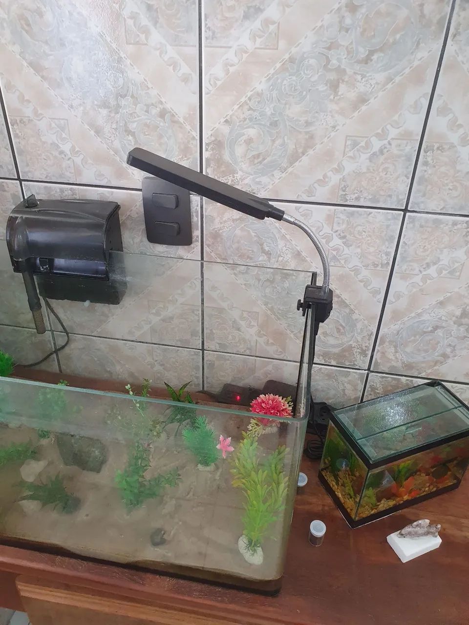 Aquário  - Foto 2