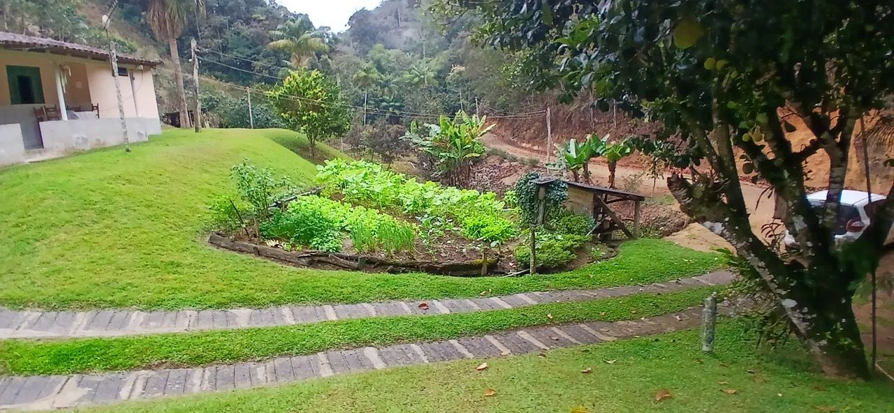 Sítio são Bento uraina 2 Alqueires  - Foto 3