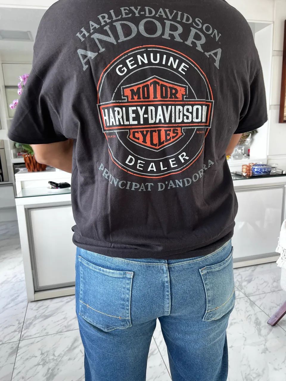 Camiseta da Harley Davidson EUA !! - Foto 4