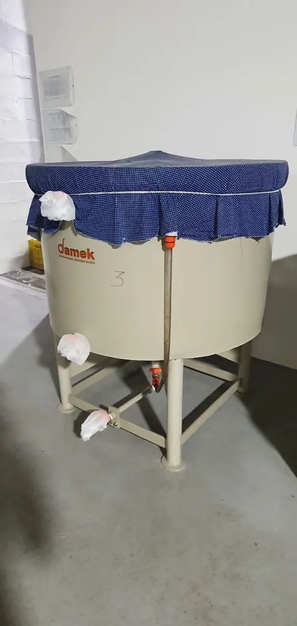 Tanque Fermentação Kombucha