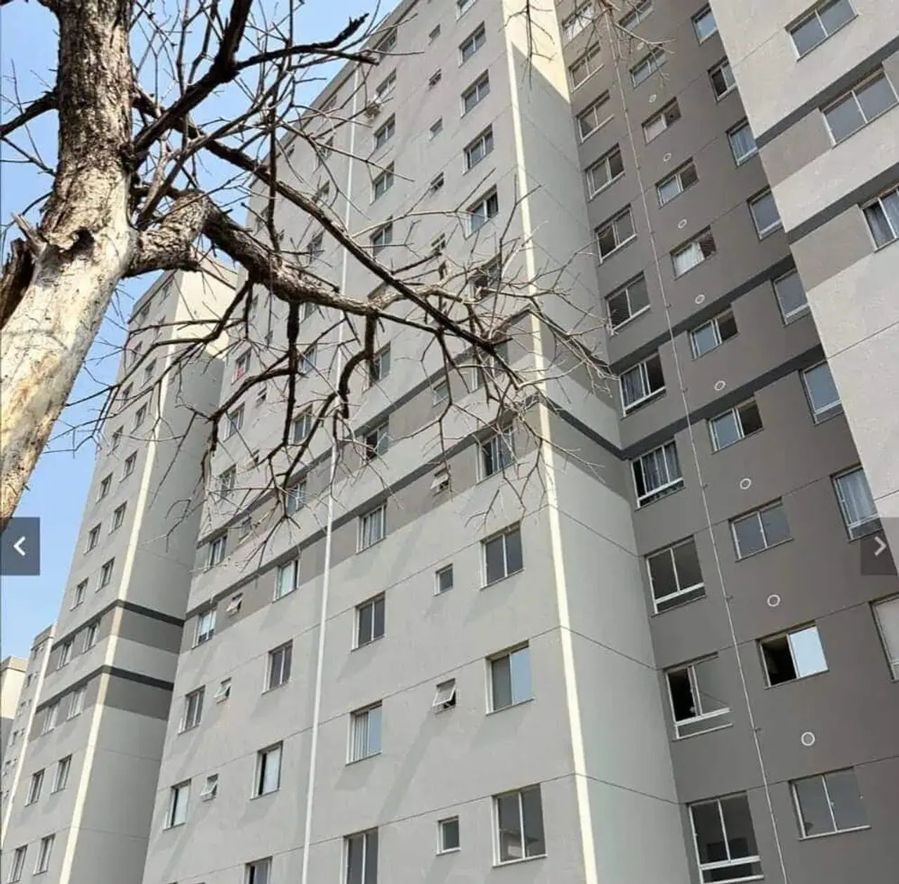 Apartamento - Foto 2