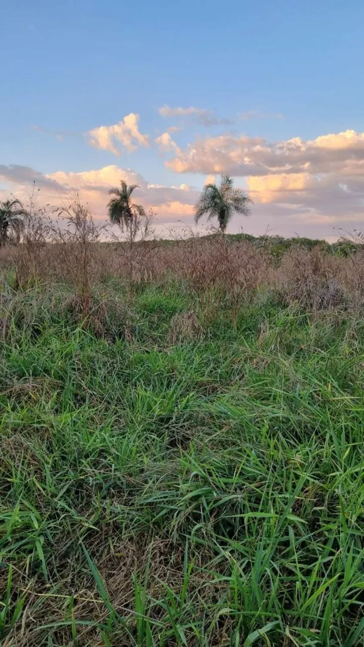 Fazenda, chácara, sítio em Minaçu  - Foto 4