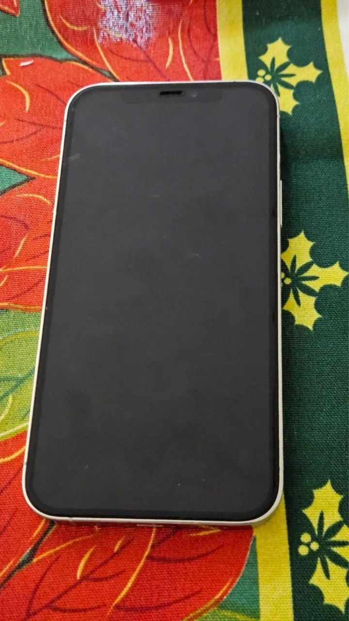 iPhone 12 Pro - 256GB - Celulares e Smartphones - Centro, Niterói