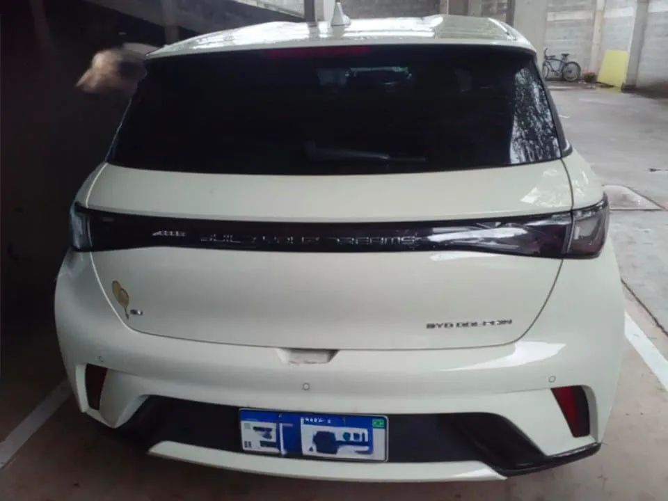BYD Dolphin GS (Elétrico) 2026 - Foto 2