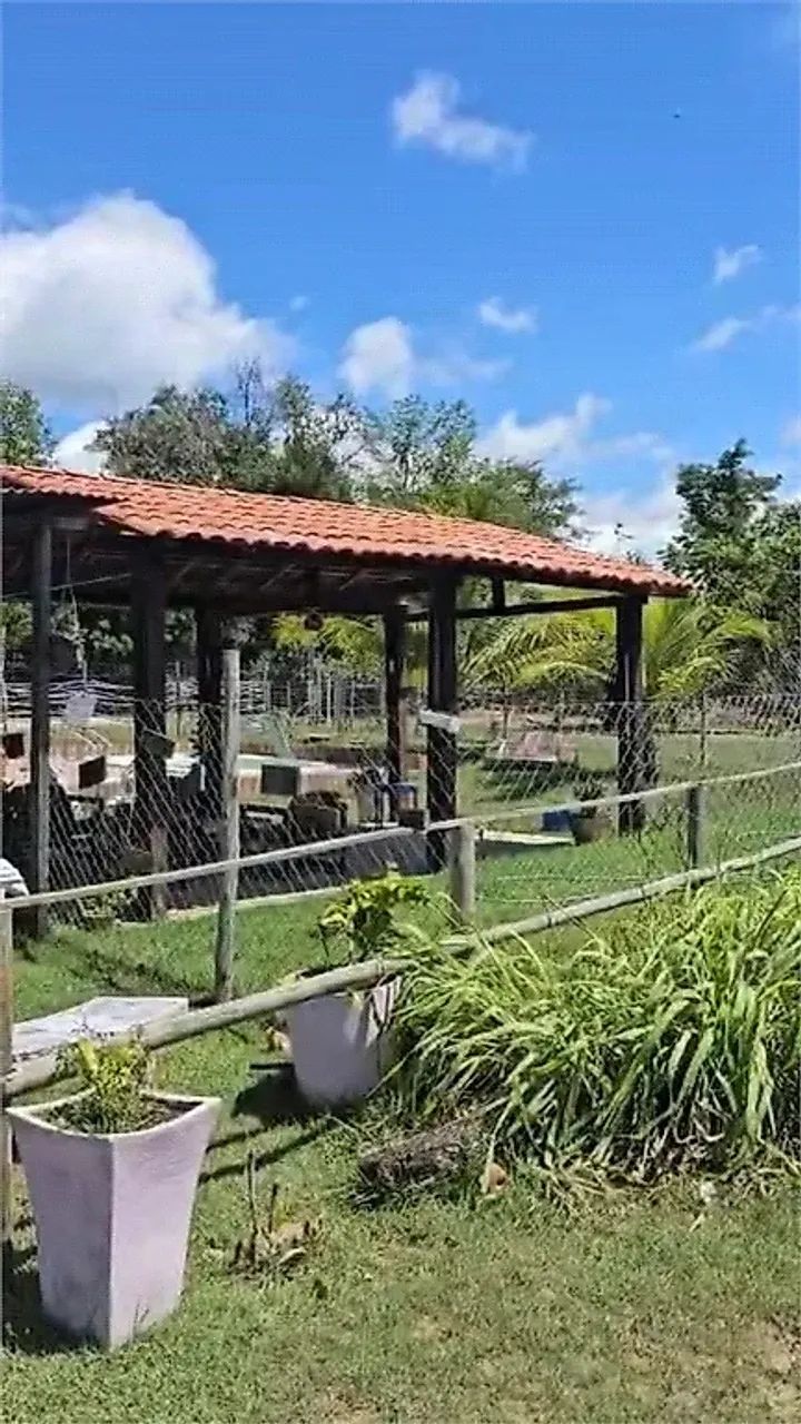 Sítio 20955m² - Ipioca - Foto 4