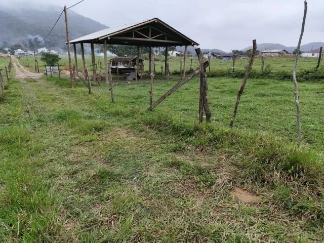 Terreno Sul do Rio 200m² - Foto 2