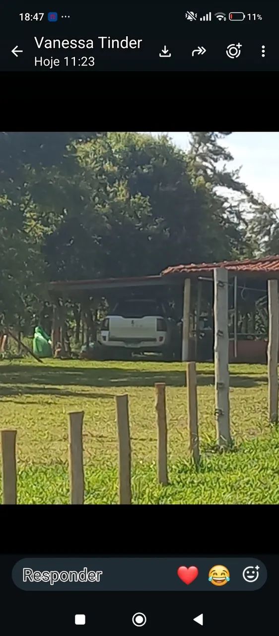 Vendo chacara  - Foto 4