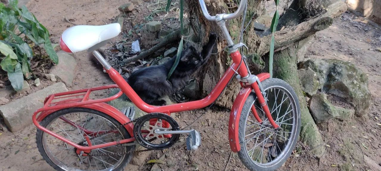 Bicicleta Monareta Anos 80  - Foto 4