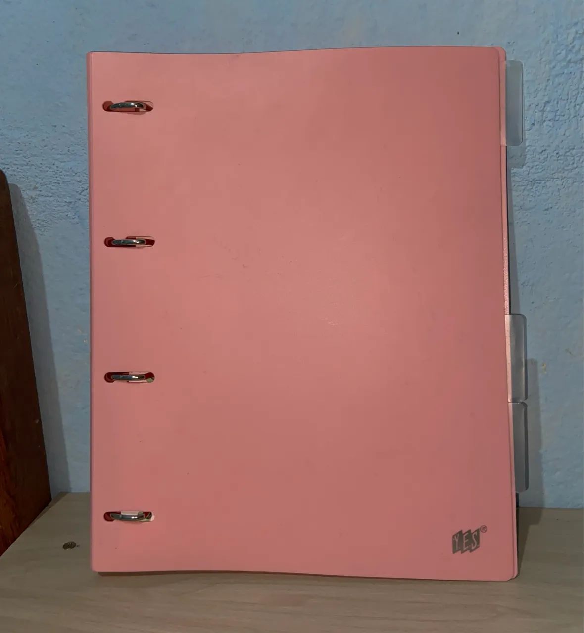Fichário feminino 