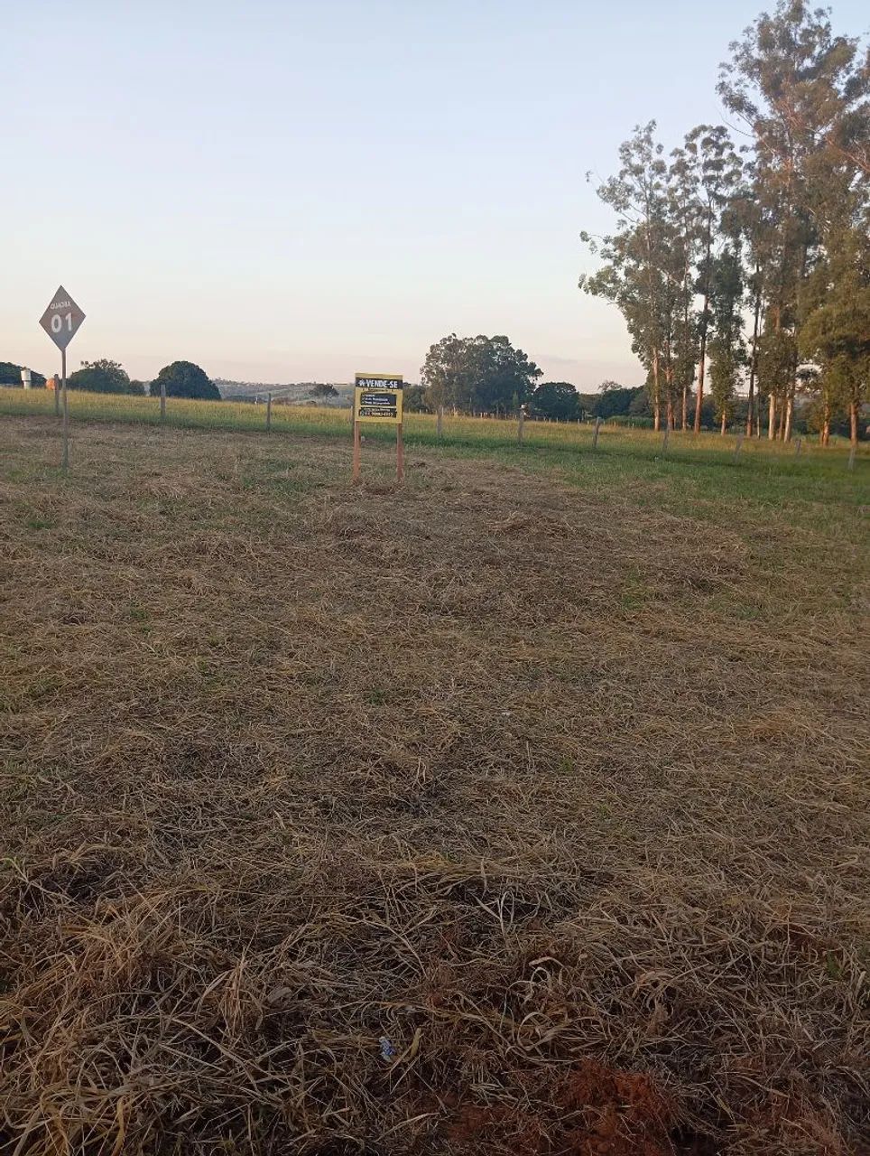 Terreno  - Foto 2