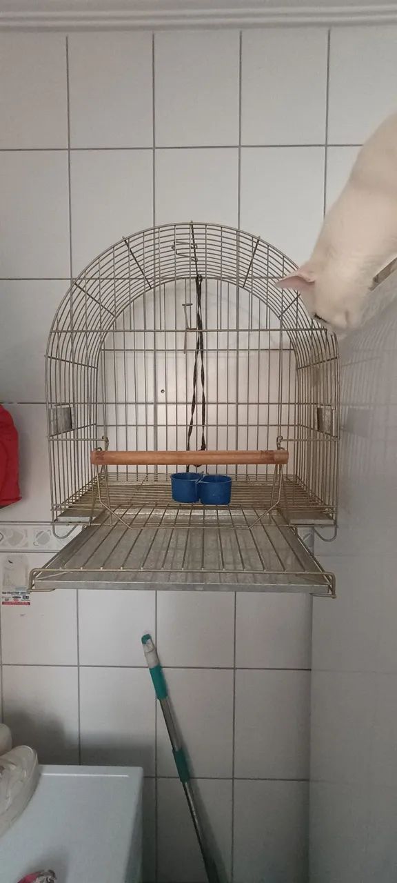 Gaiola para pássaro  - Foto 2