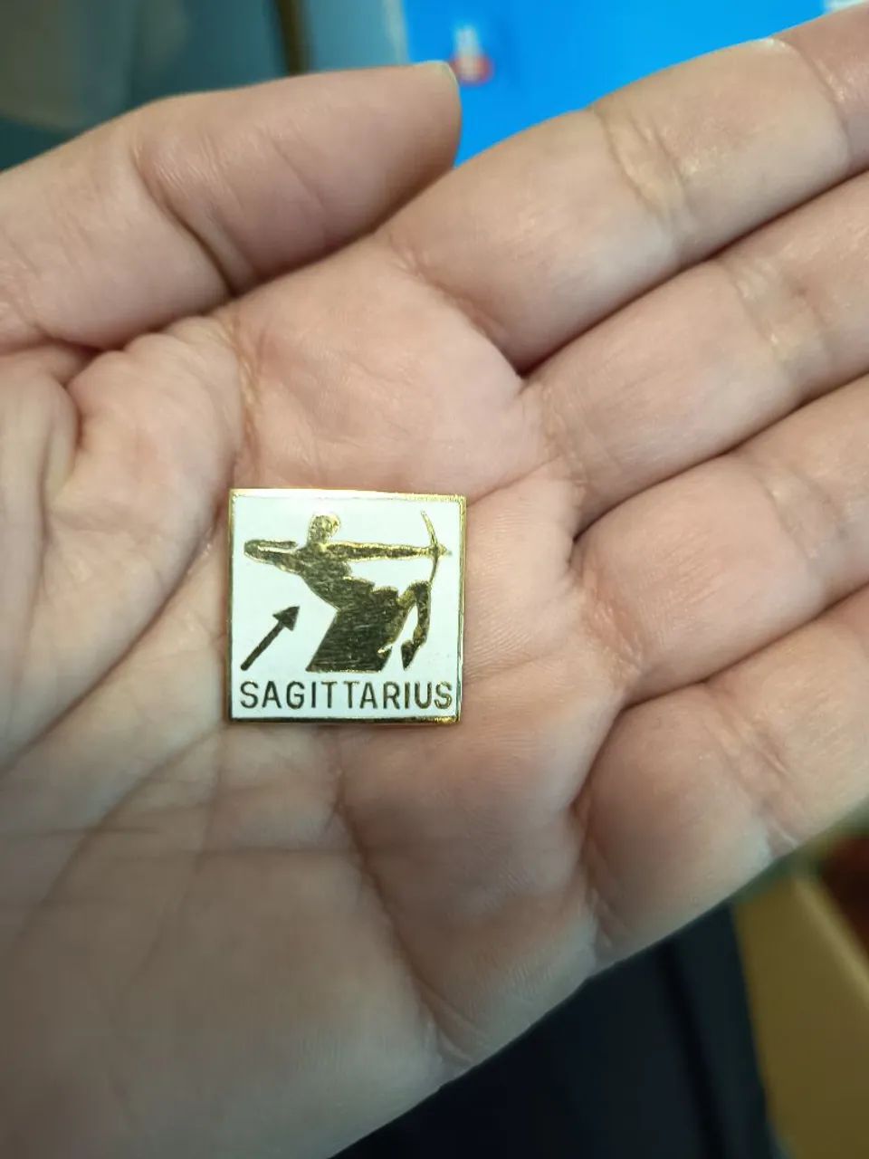 Broche sagitário vintage 
