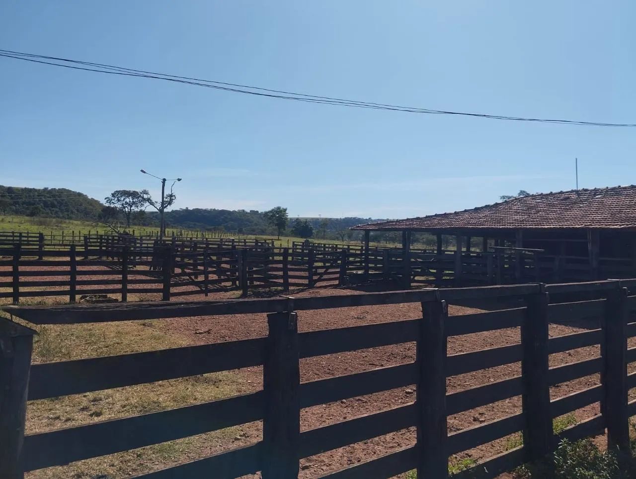 Fazenda dupla aptidão comendador gomes  - Foto 5