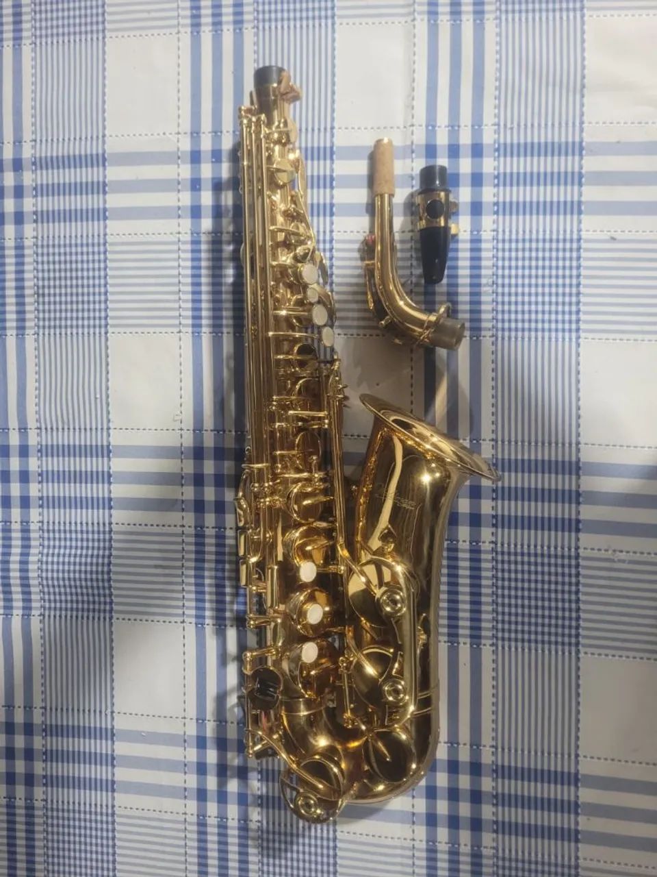 Sax alto Waldman sem uso - Foto 2