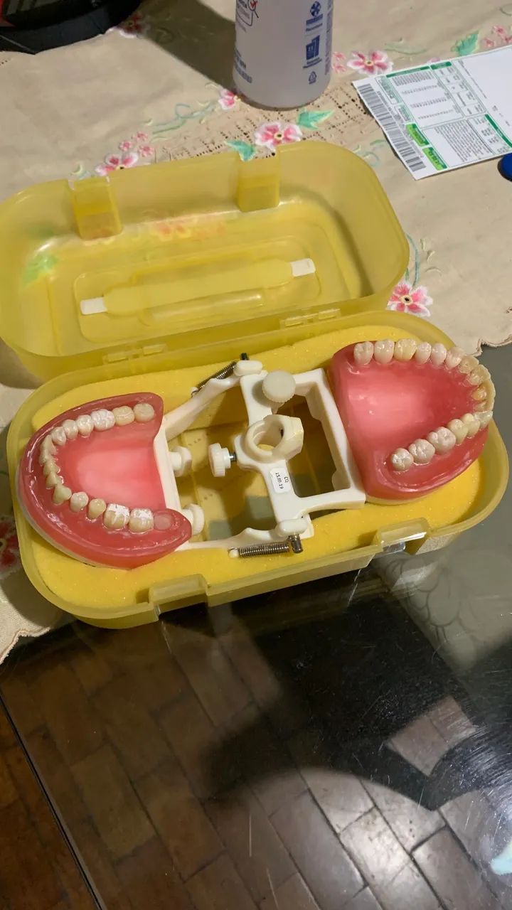 Vendo Manequim de Dentistica da Prodens