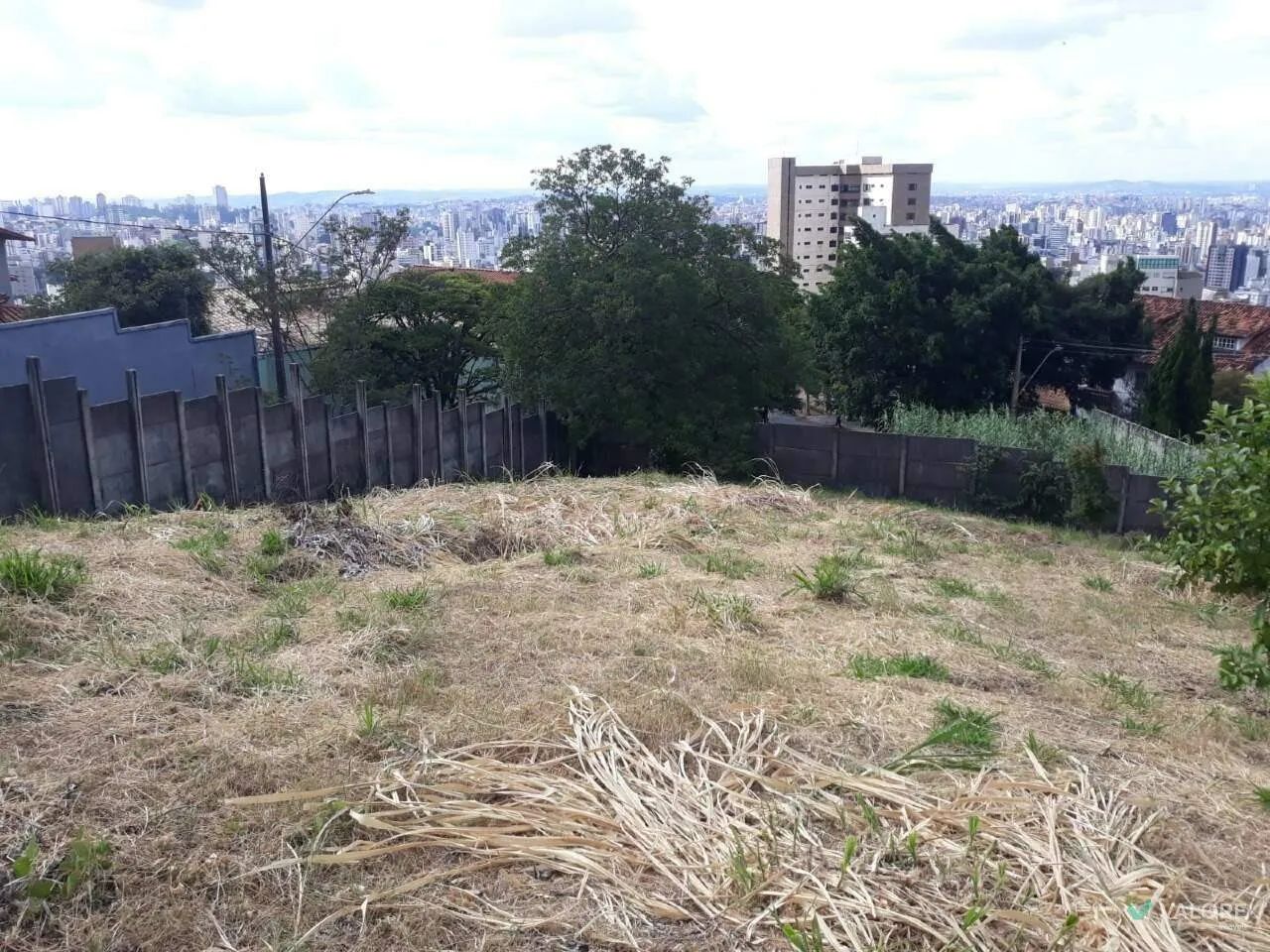 Lote  Comiteco - Foto 2