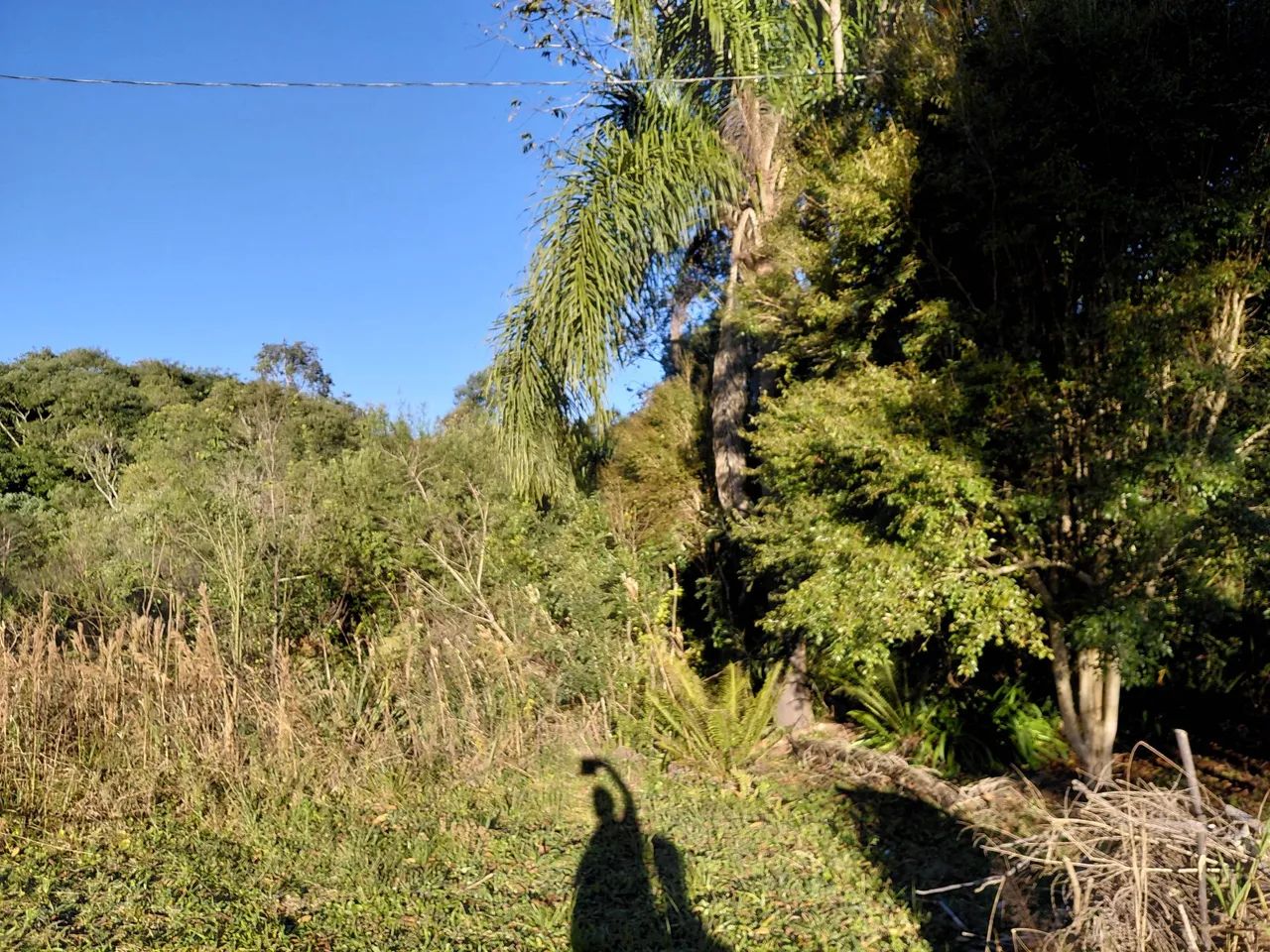 Sítio  pavão.  - Foto 5