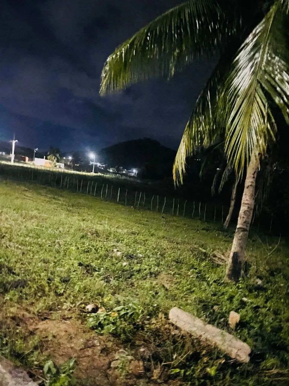 Foto - Recife - Boa Viagem