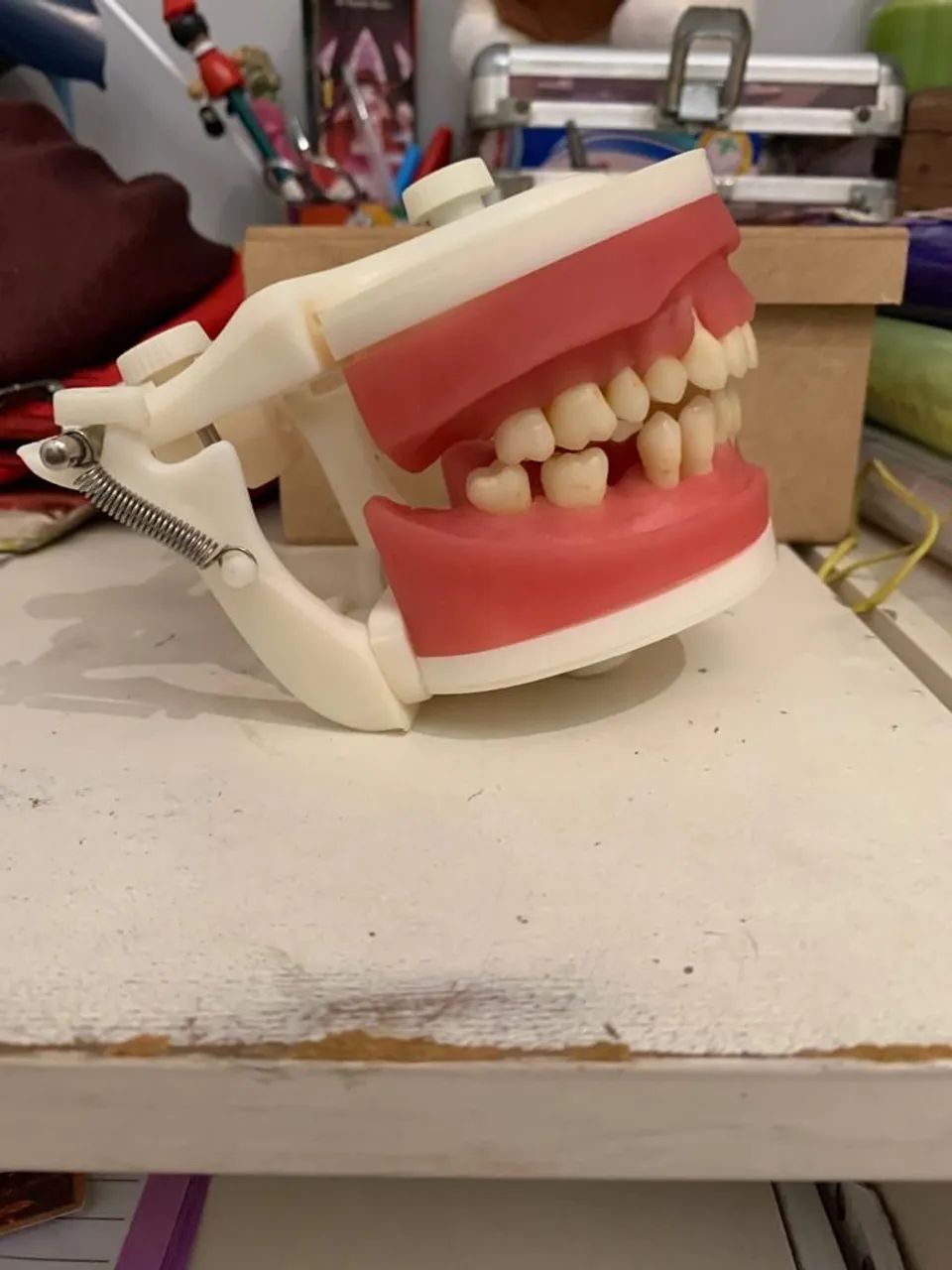 Manequim de periodontia  - Foto 4