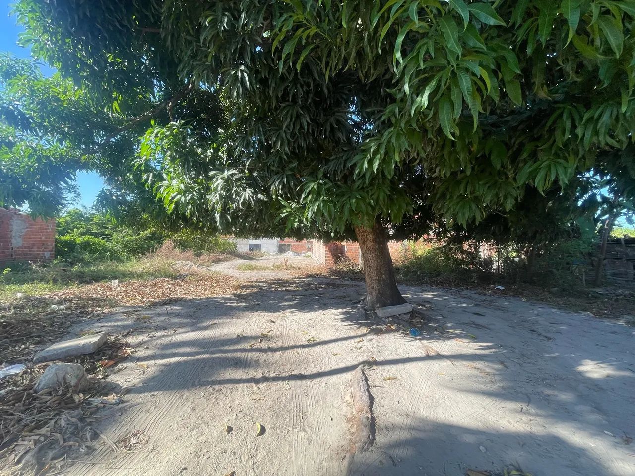 Terreno Parque Dom Pedro 2lotes  - Foto 3