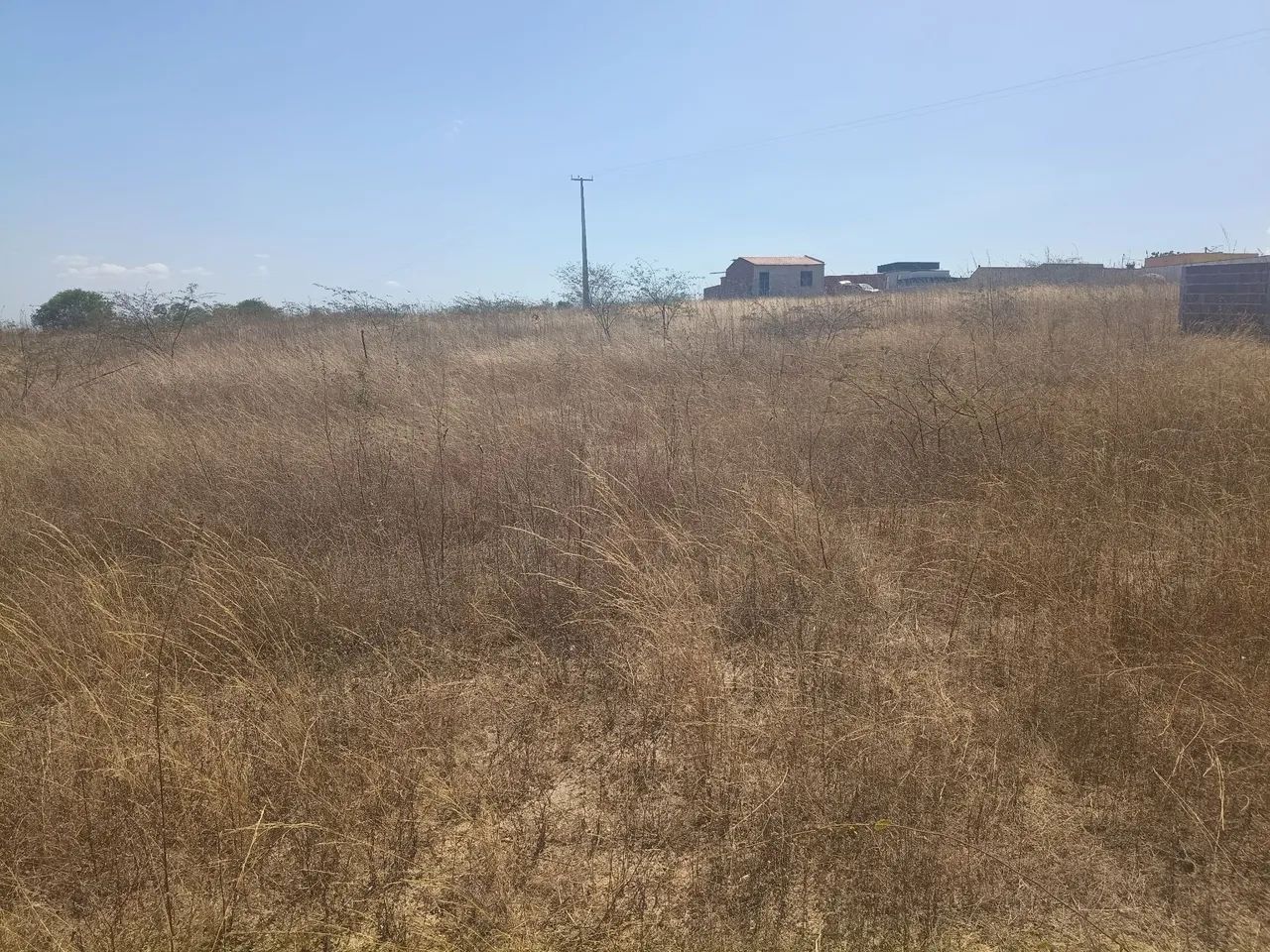 Terreno em Caridade Ce - Foto 3