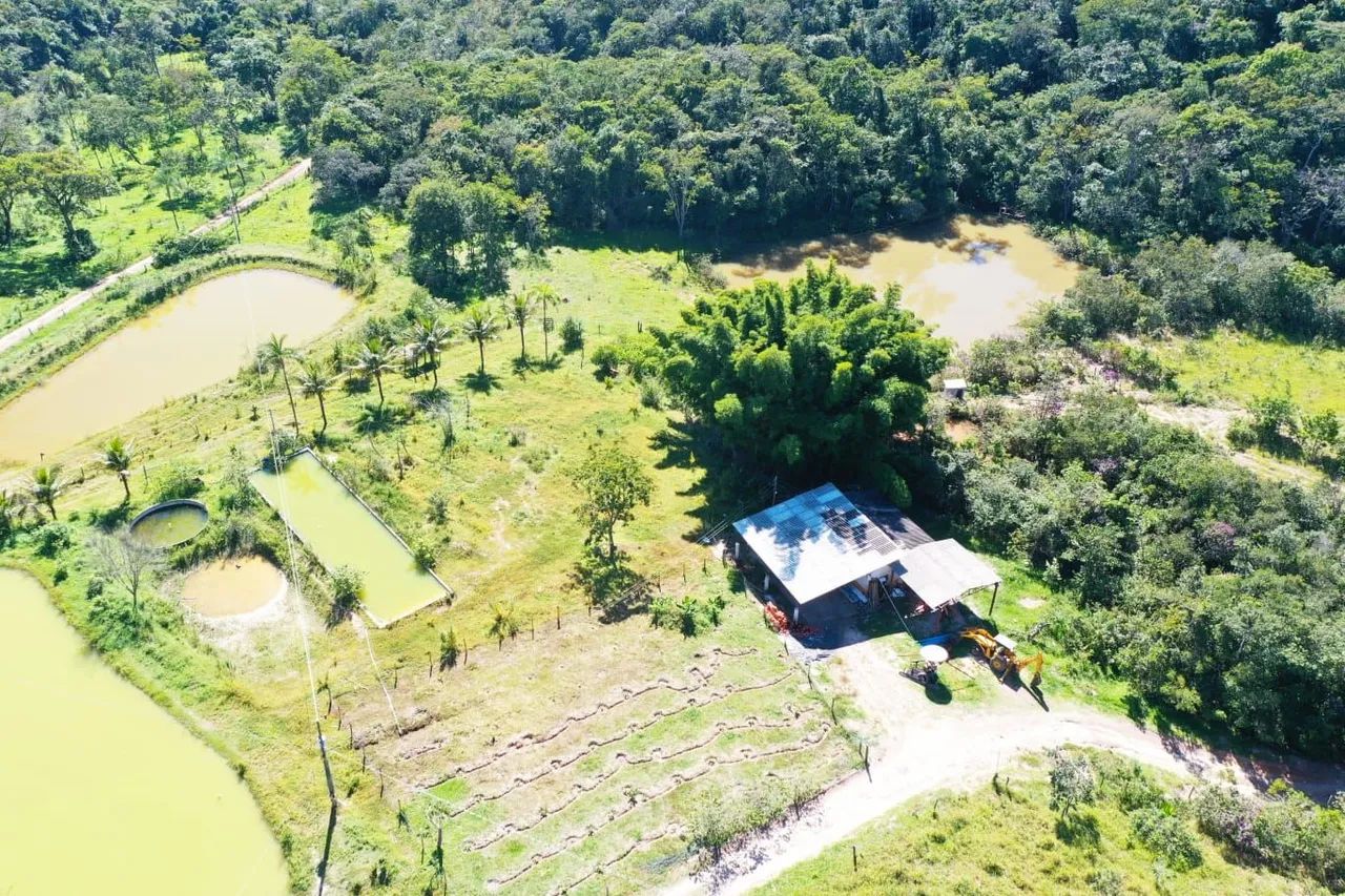 Fazenda 96 alqueires Planaltina Goias - Foto 4