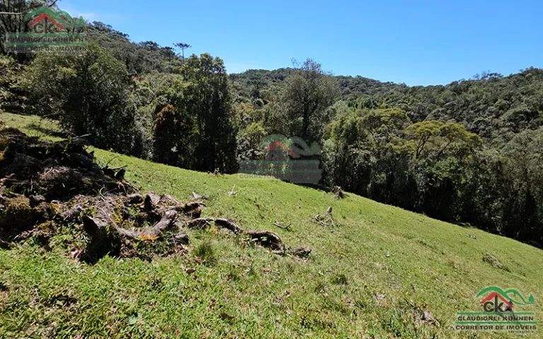 Terreno rural lago, rio e pastagem em Rancho Queimado - Foto 5