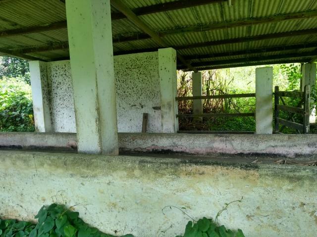 Chacara - Foto 10