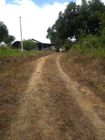 Chacara - Foto 16