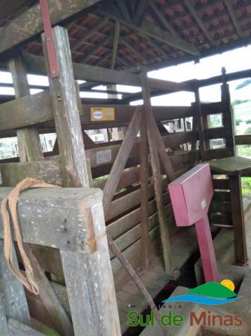 FAZENDA À VENDA ÓTIMA OPORTUNIDADE - Foto 7