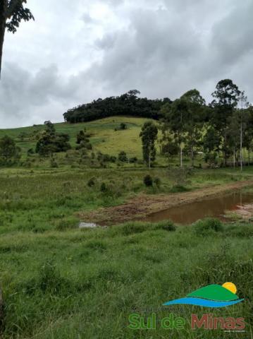 FAZENDA À VENDA ÓTIMA OPORTUNIDADE - Foto 9