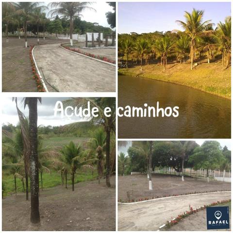 Vendo Chácara em batateira - Foto 16
