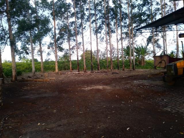 Excelente fazenda de pecuária e café na BR 101, - Foto 16