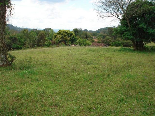 Terreno à venda em Lomba grande, Novo hamburgo cod:8700 - Foto 6