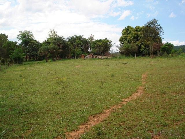 Terreno à venda em Lomba grande, Novo hamburgo cod:8700 - Foto 4