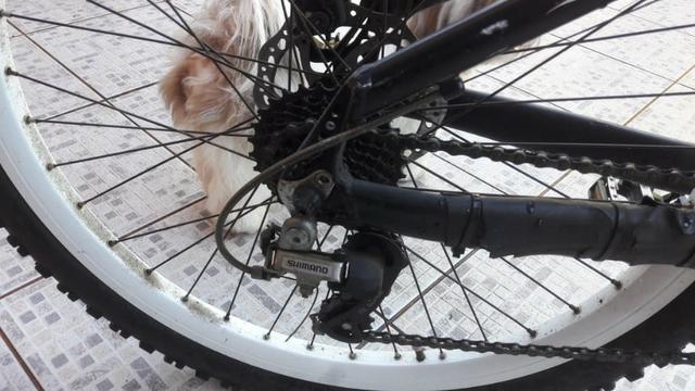 Bicicleta Gios - Foto 4