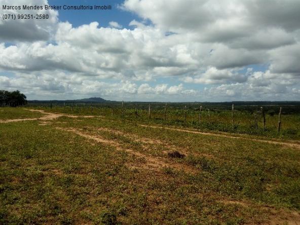 Fazenda a venda em baixa grande - bahia / brasil. - Foto 15