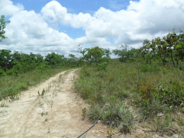 Chácara à venda com 3 dormitórios em Zona rural, Três marias cod:394 - Foto 16