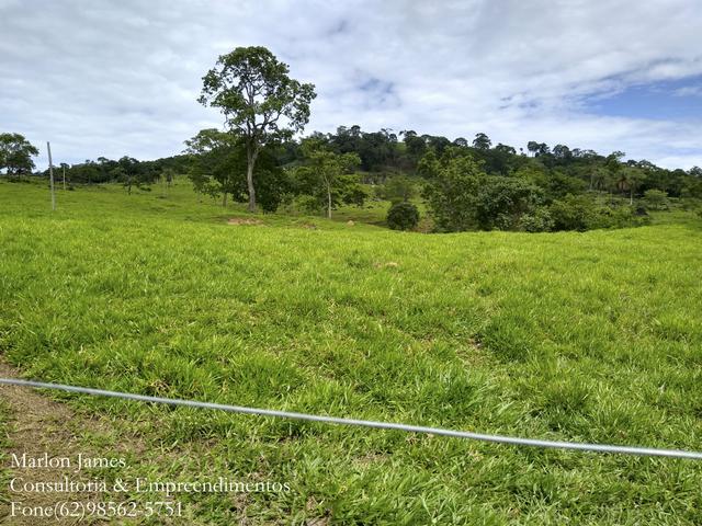 Fazenda em Americano do Brasil-Go! - Foto 10